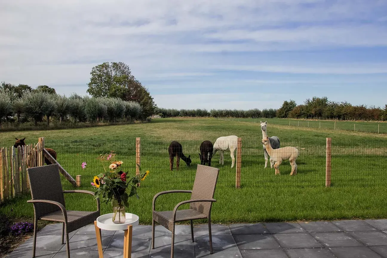 De B&B 't Bloemenveld in Ritthem